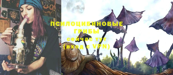 ECSTASY Абинск